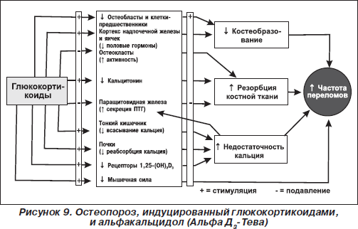 Остеопороз турецкого седла лечение в Алматы - отзывы, цены, адреса клиник