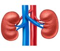 The impact of urate-lowering therapy on kidney function (IMPULsKF)