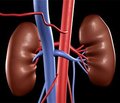 Prevention of Contrast Induced Acute Kidney Injury  (CI-AKI) In Adult Patients