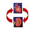 Cardiorenal Syndrome:  Diagnosis and Treatment