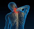 Особенности нарушений кровообращения при травме шейного отдела спинного мозга