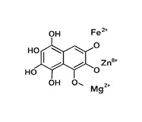 Роль шиладжиту у зменшенні токсичного впливу глутамату натрію на рівень ферментів печінки та функцію нирок у білих мишей