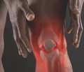 Результаты оперативного лечения в остром периоде травмы — разрыва большеберцовой коллатеральной связки, сочетанного с частичным повреждением передней крестообразной связки коленного сустава